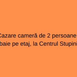 Cazare cameră de 2 persoane, baie pe etaj+taxă+masă = 650 lei