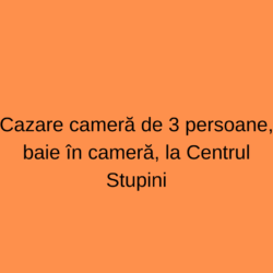 Cazare cameră de 3 persoane, baie în cameră + taxă + masă = 680lei